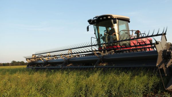 5400 Series headers in the grass